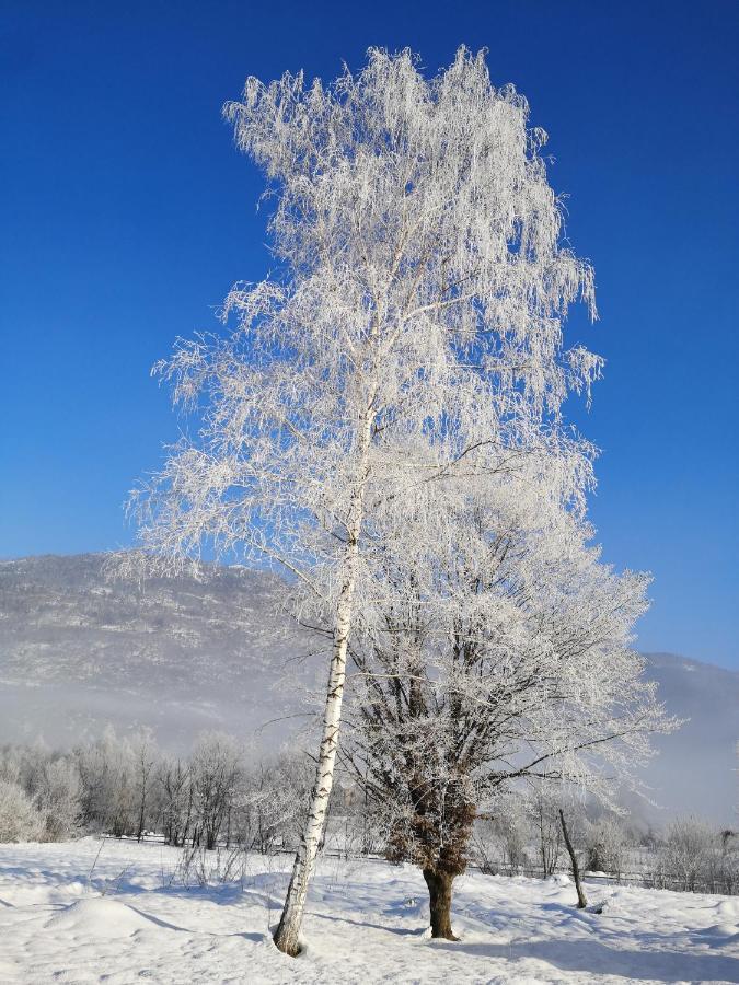 La Posada Sul Colle Tenna Exteriör bild